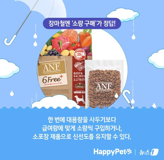 ⓒ News1 김지영 디자이너