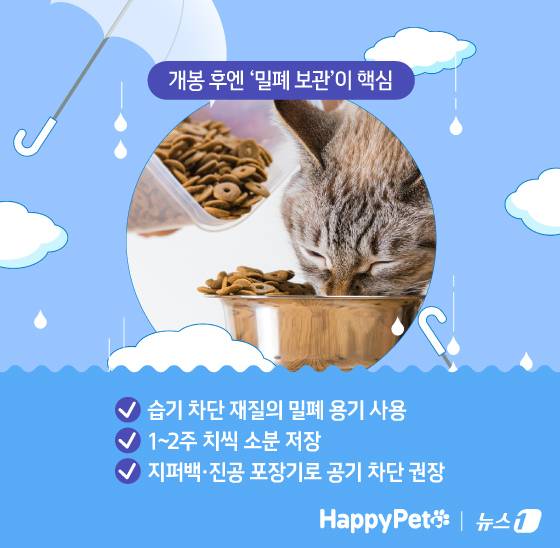 ⓒ News1 김지영 디자이너