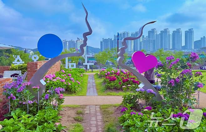 휴일인 29일 구미 양포동 '다온숲'에 3만 2000여송이의 수국이 활짝 펴 시민들의 발길이 이어지고 있다.(구미시 제공. 재판매 및 DB금지) 2025.6.29/뉴스1 ⓒ News1 정우용 기자