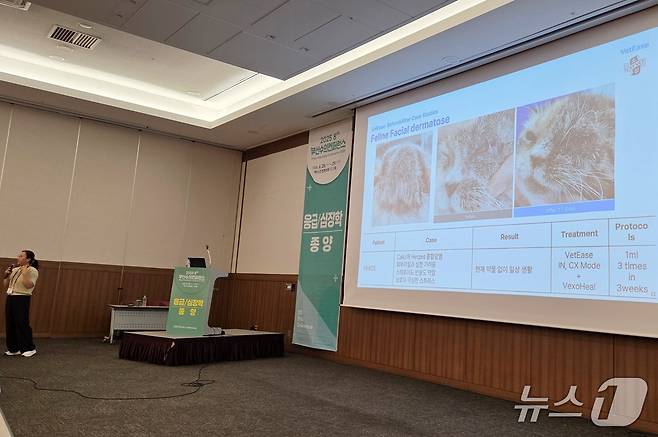 이미경 고양이병원 소설 원장은 29일 부산 벡스코에서 열린 '2025 부산수의컨퍼런스'에서 벳이즈를 활용한 각종 치료 사례를 소개했다. ⓒ 뉴스1