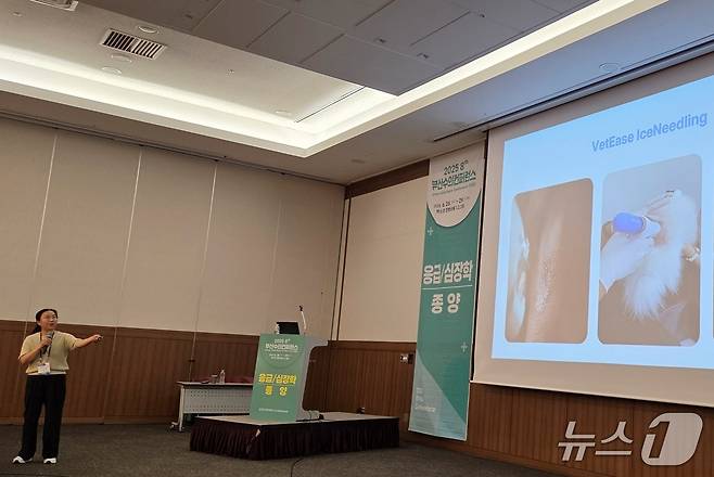 이미경 고양이병원 소설 원장은 29일 부산 벡스코에서 열린 '2025 부산수의컨퍼런스'에서 벳이즈 치료 방법을 소개했다. ⓒ 뉴스1