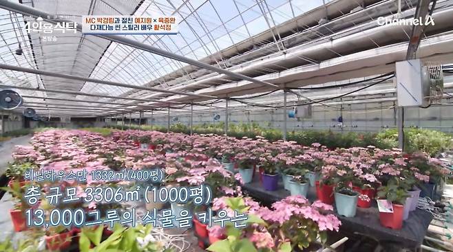 사진=채널A '4인용식탁'