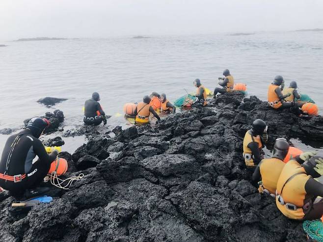 제주 서귀포시 성산읍 신천리 해안에서 해녀들이 성게 채취를 위해 물질을 준비하고 있다.