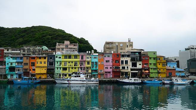 정빈어항 컬러하우스