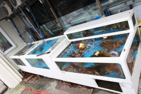 게티이미지뱅크