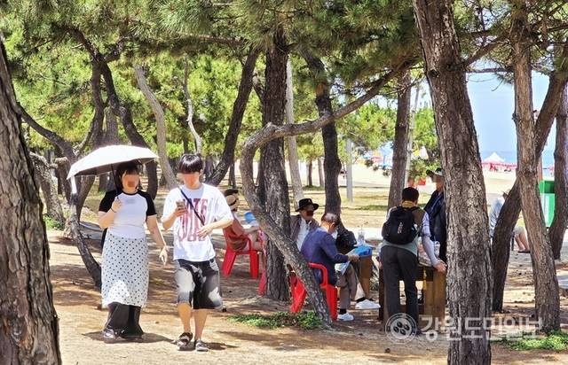 ▲ 30일 강릉 낮 기온이 35도를 웃돌자, 관광객들이 경포해변 송림 그늘을 찾아 무더위를 피하고 있다. 황선우 기자