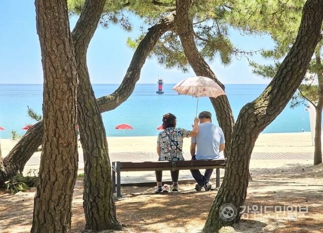 ▲ 30일 강릉 낮 기온이 35도를 웃돌자, 관광객들이 경포해변 송림 그늘을 찾아 무더위를 피하고 있다. 황선우 기자