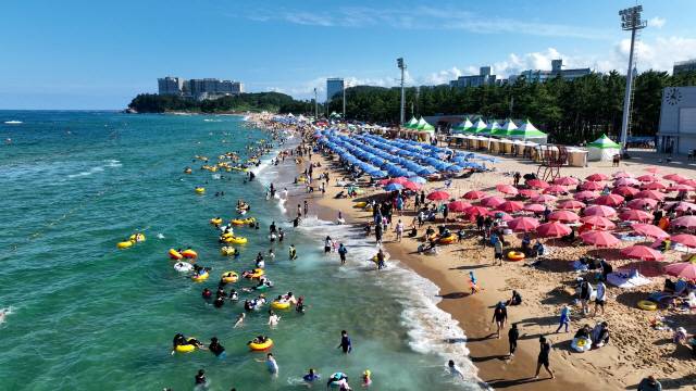 ▲ 야간에도 수영을 즐길 수 있는 속초해수욕장이 4일 개장한다.