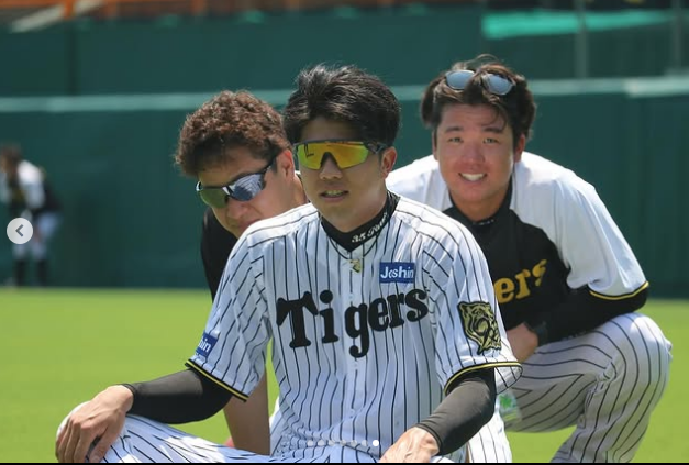 한신 타이거스 공식 SNS