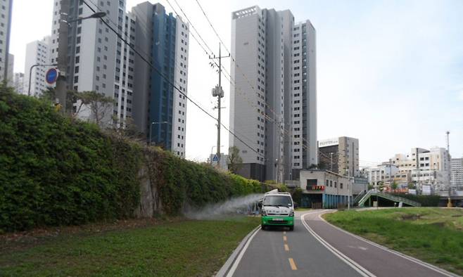 광명시가 러브버그 개체 수를 줄이기 위한 방역을 진행하고 있다. 광명시 제공