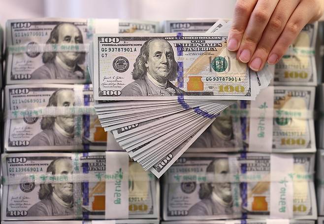 지난달 5일 서울 중구 하나은행 위변조센터에서 직원이 미 달러를 정리하는 모습 ⓒ연합뉴스