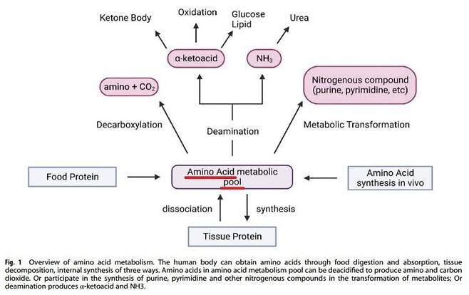 * 출처: ZN Ling, et al. Sig Transduct Target Ther 2023