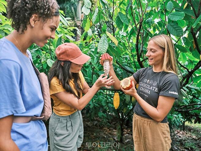 빈 투 바 투어 리드게이트 팜/사진-하와이관광청