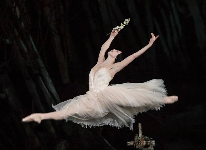 ‘영국 로열 발레단’이 낭만발레의 대표작 ‘지젤’을 공연하는 모습. 이번 갈라 공연에도 ‘지젤’이 포함됐다. LG아트센터 제공