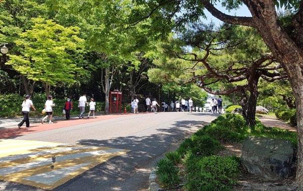 대구시 달서구 두류공원 도시숲./사진=산림청 제공