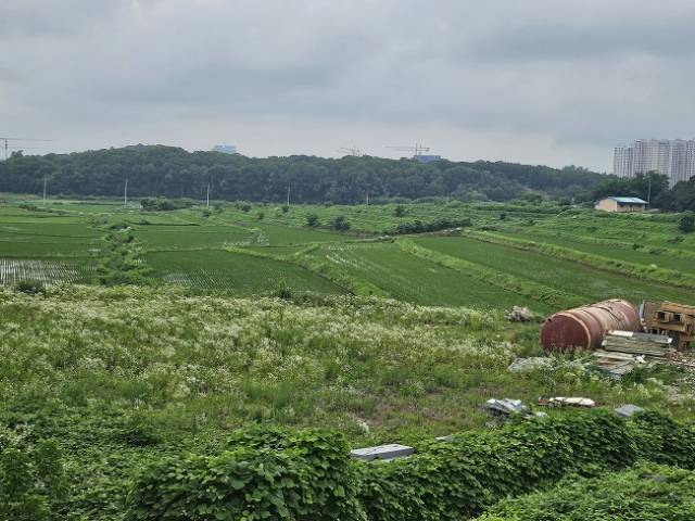 ▲경기 남부지역의 한 지역주택조합 사업지(해당 기사와 관련 없음) ⓒ프레시안(윤영은)