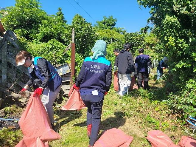 환경 정비 모습. 제주시 제공