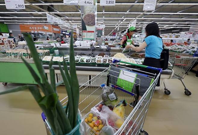 서울 한 대형마트에서 시민이 장을 보고 있다(자료사진). ⓒ뉴시스