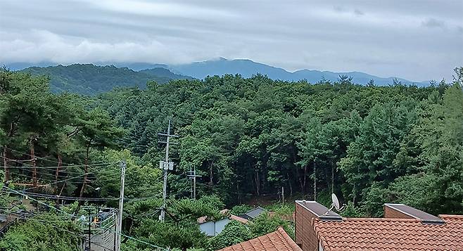 필자의 우거에서 바라본 풍광. 시절이 하 수상하지만, 필자는 오늘도 초야에서 반려동물과 반려 식물을 키우면서 막걸리 한 사발로 유유자적하고 있다. /홍광훈