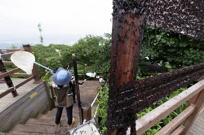 사진 출처 : 환경부