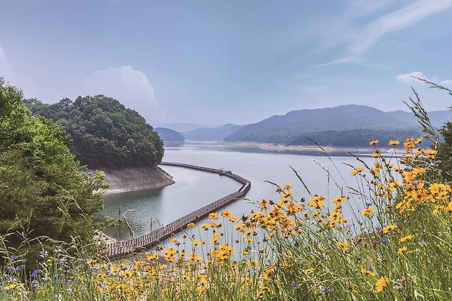 안동호 위를 걸어볼 수 있는 선성수상길