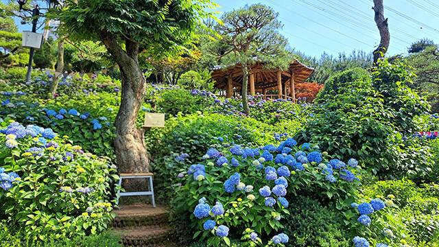 충정북도 청주시 공간정원./산림청