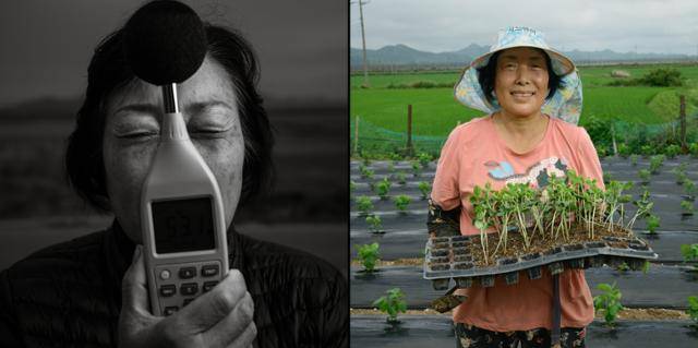 약 반년 만에 다시 만난 당산리 주민 김옥순씨는 한 뼘쯤 자라난 서리태 모종을 들고 서서 "바람 소리, 새 소리, 라디오 소리 들으며 들에 나와 있는 이 시간이 너무너무 감사하고 행복하다"라고 말했다. 강화=하상윤 기자