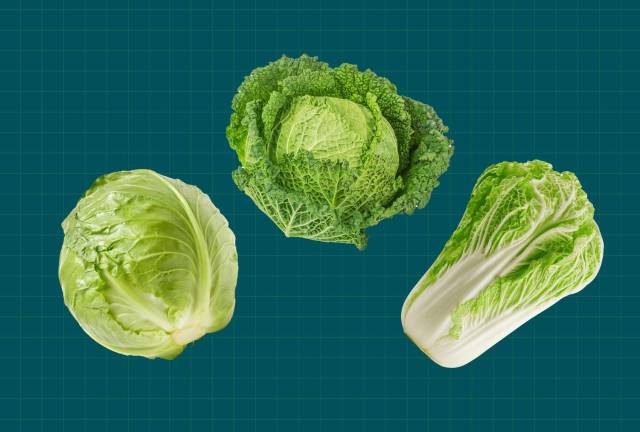 ▲이것이 네 배추냐 내 배추냐. (사진 출처: levkr, chengyuzheng, Andrey Elkin)