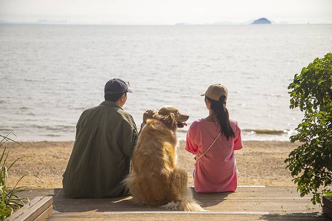 화성 궁평오솔로파크