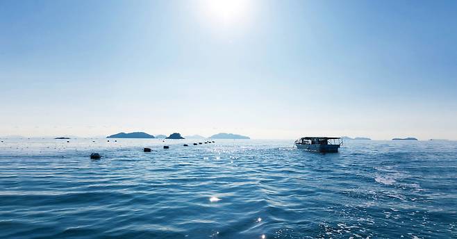 세토내해는 일본 열도의 내해로, 규슈, 시코쿠, 혼슈 세 섬에 둘러싸여 있다. 세노수산이 위치한 오카야마현의 카사오카시는 세토내해의 한복판에 위치하고 있다. 동서의 조수 흐름이 부딪치는 위치인데다 영양이 풍부해 양식장으로써 최적 조건을 갖추고 있다. /세노수산 제공