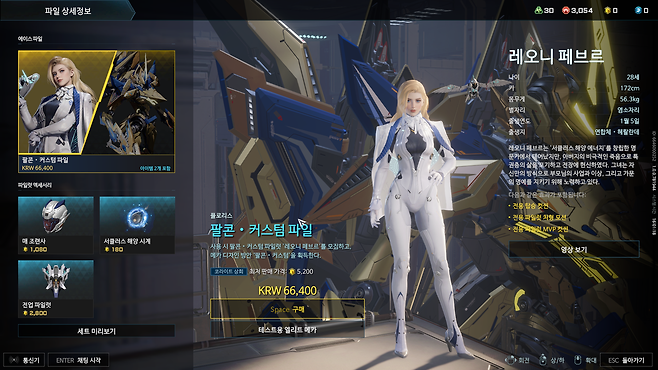 - 인게임 영향은 없다지만 상품 가격이 너무 높게 책정된 감이 없지 않다