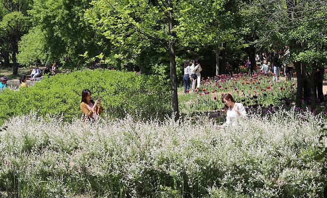 서울숲공원은 달리기에 나선 이들뿐만 아니라 시민들도 자주 찾는 여행 명소다. 신소영 기자