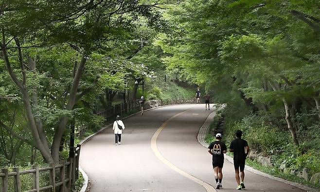 폭염이 쏟아져도 끄떡없는 곳이 숲이다. 하늘을 가리다시피 한 나뭇가지와 잎들이 더위를 막아준다. 남산둘레길도 마찬가지. 이른 아침에 달리기에 나선 이들이 한둘이 아니다. 박미향 기자