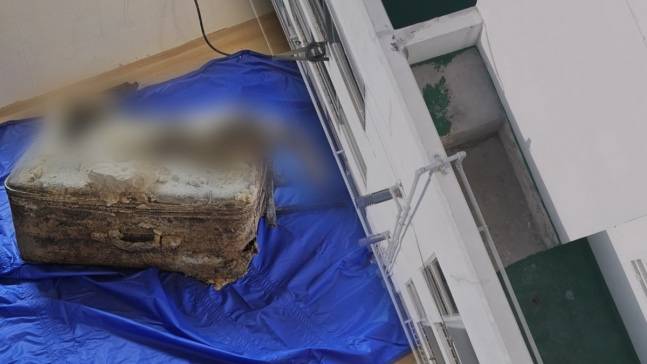 /사진=SBS 그것이 알고싶다