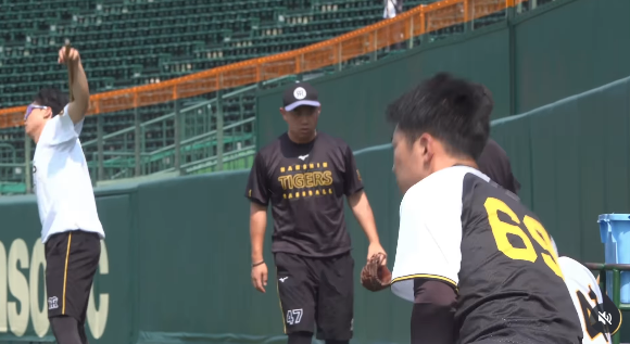 한신 타이거스 SNS