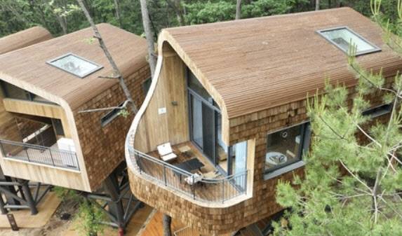 수락휴 트리하우스. (사진=연합뉴스)