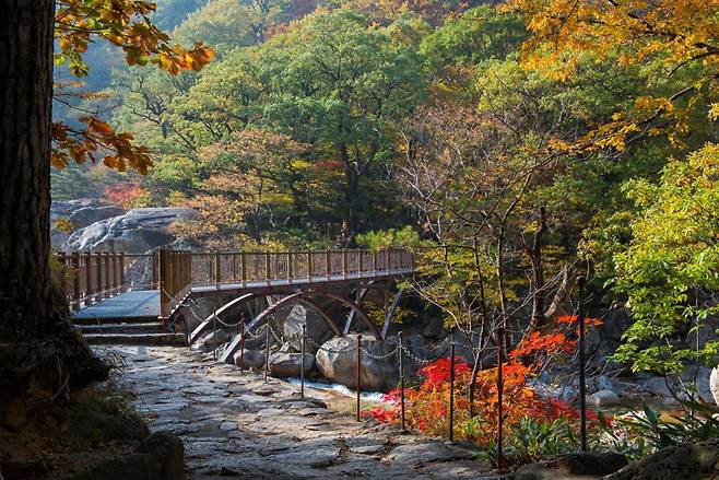 북한 관광 전문업체 ‘영 파이어니스 투어스’가 관광 상품을 홍보하며 올린 묘향산 모습. ‘영 파이어니스 투어스’ 홈페이지 캡처