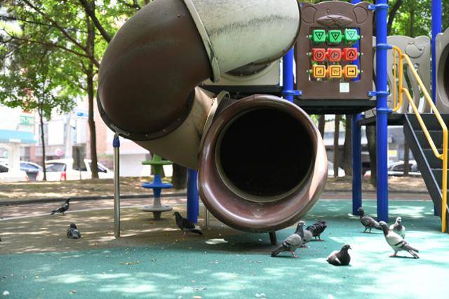 지난달 26일 울산 남구의 한 놀이터를 집비둘기들이 점령하고 있다. 울산=박은경 기자