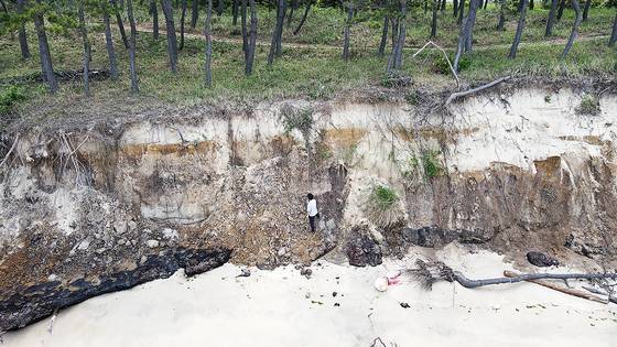 전남 신안 증도에 있는 우전해변이 해안침식으로 피해를 입은 모습. 사진 녹색연합