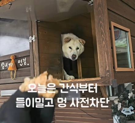 간식으로 친해지기를 시도하는 한별 씨(인스타그램 onfactory1 제공) ⓒ 뉴스1