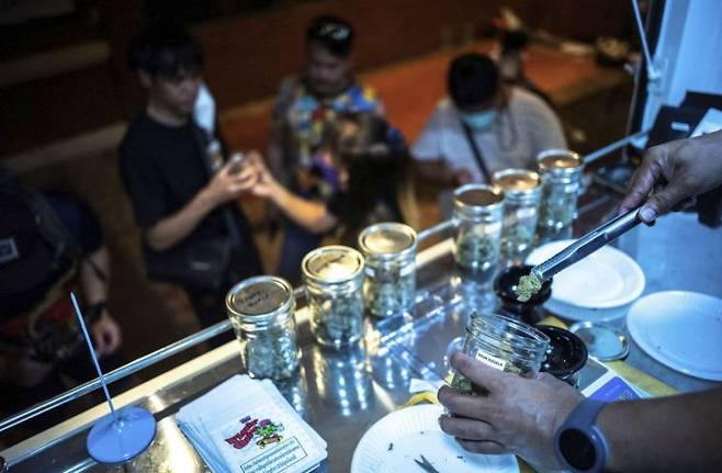 지난 2022년 태국은 아시아 최초로 대마를 비범죄화했다. 연합뉴스