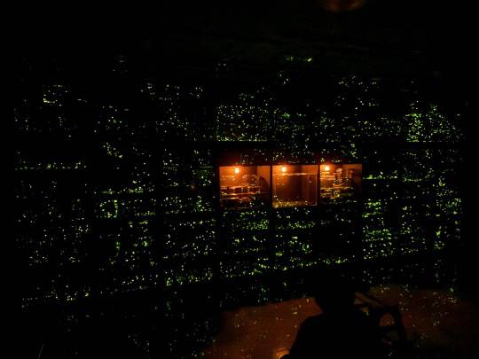 지난해 7월 19일부터 8월 11일까지 대전곤충생태관에서 진행된 반딧불이 불빛 체험 행사 모습. 대전시 제공.