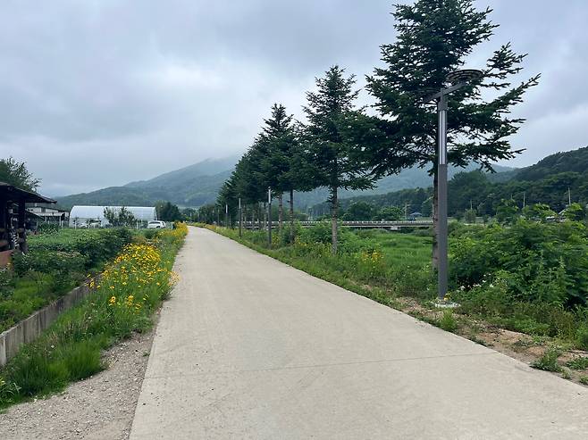6일 강원 평창군 봉평면의 정은경 보건복지부 장관 후보자 남편 소유 농지 옆에 난 길. 평창=이에스더 기자