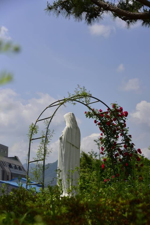 성녀 소화데레사상ⓒ