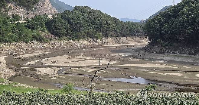 황톳빛 맨바닥 드러난 오봉저수지 (강릉=연합뉴스) 유형재 기자 = 장마철이지만 강원 동해안에는 마른장마로 가뭄이 지속돼 피해가 우려되는 가운데 7일 강릉시민 식수원인 오봉저수지 상류가 바닥을 드러내고 있다. 오봉저수지 저수율은 현재 33.3%로 가뭄이 극심했던 작년의 52.2%, 평년의 65%보다도 매우 낮은 수준이다. 2025.7.7 yoo21@yna.co.kr