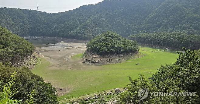 바닥 드러낸 강릉 식수원 오봉저수지 상류 (강릉=연합뉴스) 유형재 기자 = 장마철이지만 강원 동해안에는 마른장마로 가뭄이 지속돼 피해가 우려되는 가운데 7일 강릉시민 식수원인 오봉저수지 상류가 바닥을 드러내고 있다. 오봉저수지 저수율은 현재 33.3%로 가뭄이 극심했던 작년의 52.2%, 평년의 65%보다도 매우 낮은 수준이다. 2025.7.7 yoo21@yna.co.kr