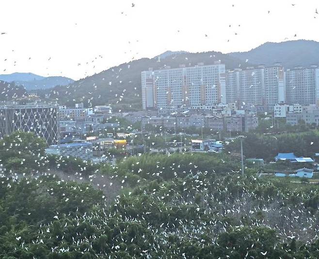 출처=독자제공, 뉴스1