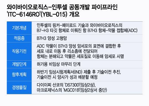 와이바이오로직스-인투셀 공동개발 파이프라인 'ITC-6146RO'(YBL-015) 개요/디자인=윤선정