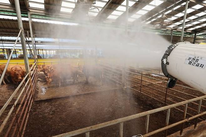축산농가. 연합뉴스