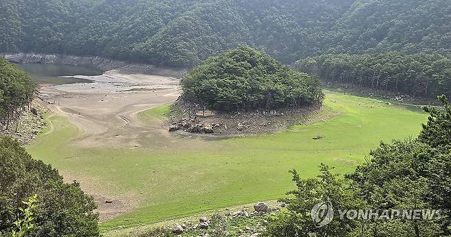 바닥 드러낸 강릉 식수원 오봉저수지 상류 (강릉=연합뉴스) 유형재 기자 = 장마철이지만 강원 동해안에는 마른장마로 가뭄이 지속돼 피해가 우려되는 가운데 7일 강릉시민 식수원인 오봉저수지 상류가 바닥을 드러내고 있다.
오봉저수지 저수율은 현재 33.3%로 가뭄이 극심했던 작년의 52.2%, 평년의 65%보다도 매우 낮은 수준이다. 2025.7.7 yoo21@yna.co.kr